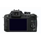 Panasonic Lumix DMC-FZ100