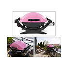 Weber Q 100
