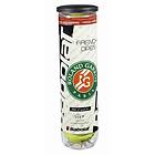 Babolat Roland Garros All Court (72 bollar)