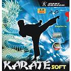 Giant Dragon Karate Soft