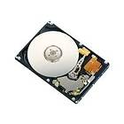 Fujitsu MHV2060BH 8MB 60GB