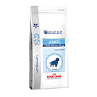 Royal Canin VCN Dog Junior Large 4kg