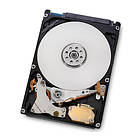Hitachi Travelstar 5K1000 HTS541010A9E680 8MB 1TB
