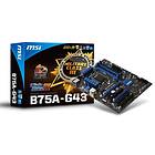 MSI B75A-G43