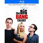 The Big Bang Theory - Season 1