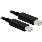 DeLock Thunderbolt - Thunderbolt 2m