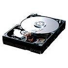 Samsung SpinPoint T166 HD160HJ 8MB 160GB