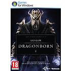 The Elder Scrolls V: Skyrim - Dragonborn
