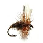 Flugor Coachman