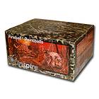 Inspire Paintball Fireballs 2000 st