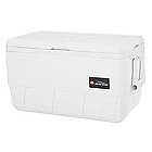 Igloo Marine 36 Quart (Vit)