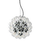 Flos Taraxacum 88/S1