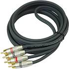 DLS SL 2 Pro 2RCA - 2RCA 2m