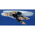 Supra AnCo Component 3RCA - 3RCA 4m