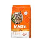 Iams Adult 1+ Chicken 15kg