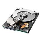 Samsung SpinPoint P120 SP2504C 8MB 250GB