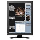 Eizo RadiForce RX320