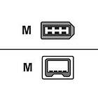 AiC Cable Firewire 6-Pin - 4-Pin 3m