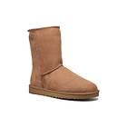 Ugg Australia Classic Short (Dam)