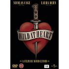 Wild at Heart -  Special Edition