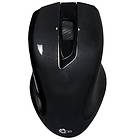 Ace ML500W