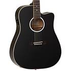 Tanglewood Evolution TW28 SL CE