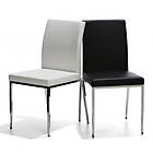 Chairs + More Daily Stol