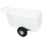 Igloo All-Terrain 100