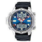 Citizen JP1010-00L
