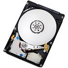 IBM 41Y8292 250GB
