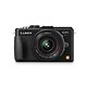 Panasonic Lumix DMC-GX1 + 14-42/3,5-5,6 OIS PZ X