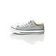 Converse Chuck Taylor All Star Seasonal Ox Sr (Unisex)