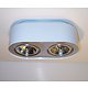 Jensen Lighting Eye (2L)