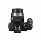 Panasonic Lumix DMC-FZ100